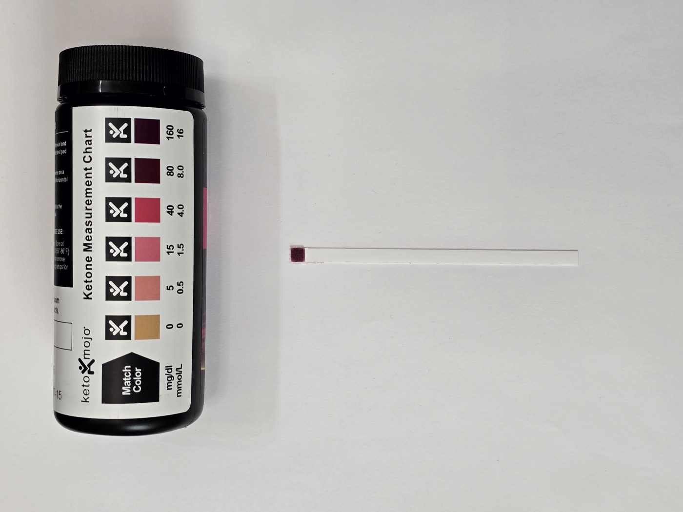 Ketone strip on day 17 still reading at the top of the chart