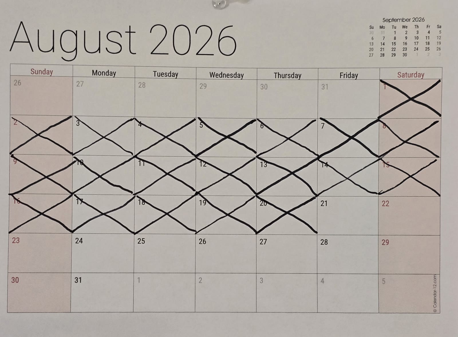 The August calendar with 20 days crossed off