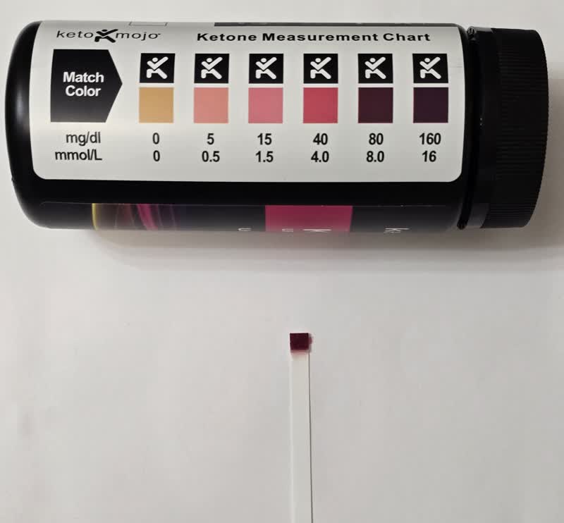 The keto mojo strip on day 27 showing ketones still deep in the range