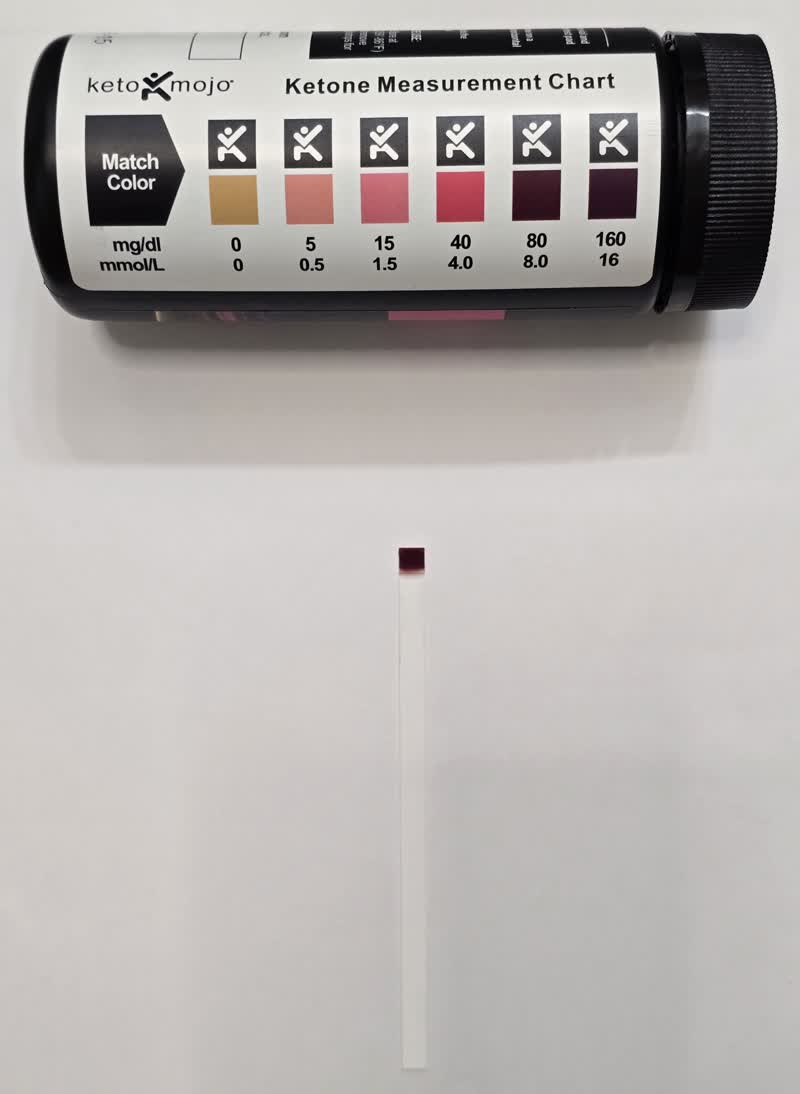 Day 28 ketone strip beside the Keto Mojo color chart showing the deepest purple reading