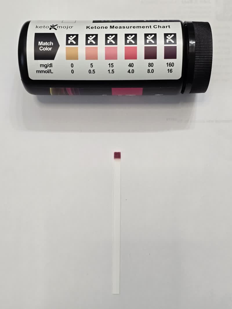 Day 29 ketone strip beside the Keto Mojo color chart showing the deepest purple reading