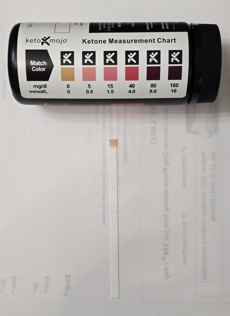 Day 34 ketone strip still blank next to the color chart