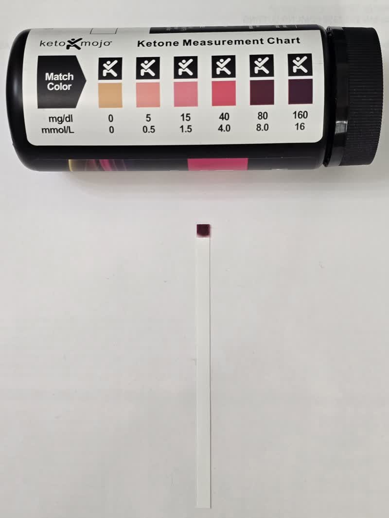 Keto Mojo urine ketone strip on day 41 of the water fast matching the darkest square on the color chart