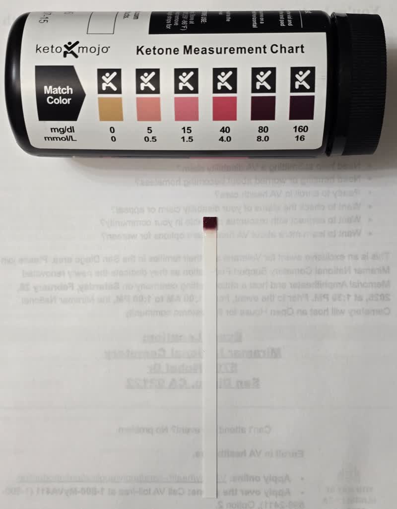 Keto Mojo urine ketone strip on day 43 of the water fast matching the darkest square on the color chart