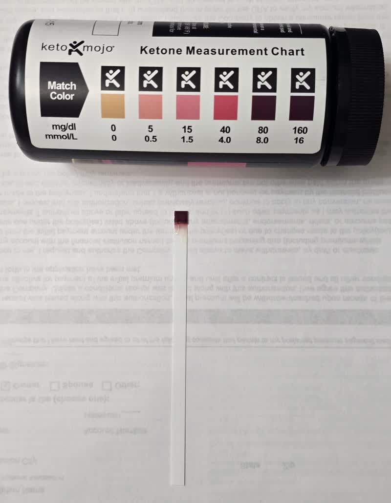 Day 45 ketone strip beside the keto mojo chart reading 16